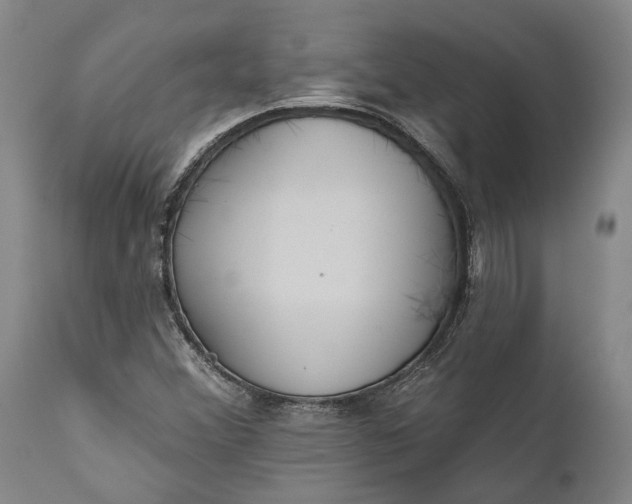 X0000111671356200908071447