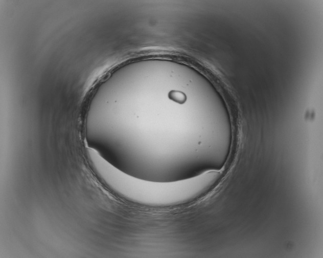 X0000111671357200908071447