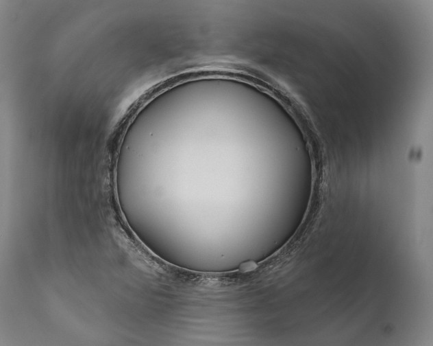 X0000111671360200908071447