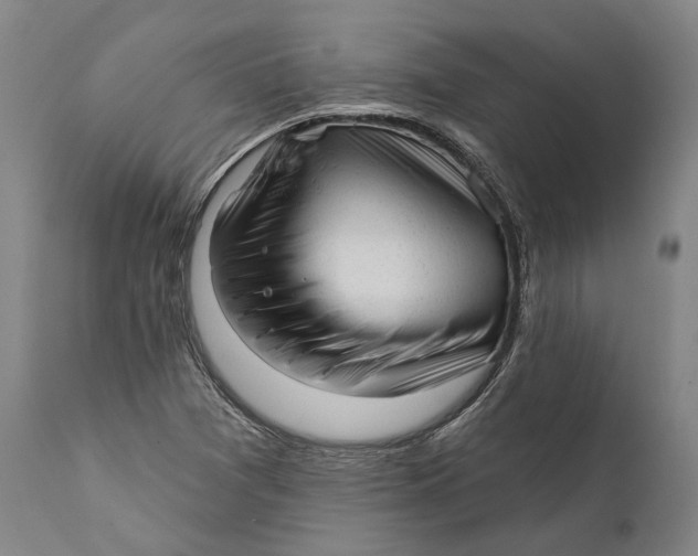 X0000111671361200908071447