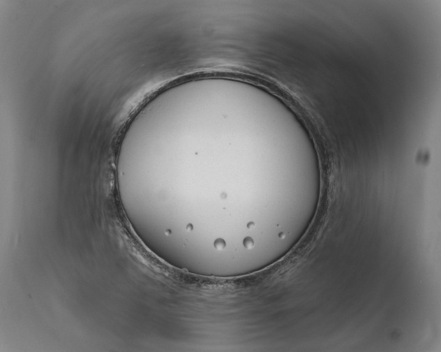 X0000111671363200908071447