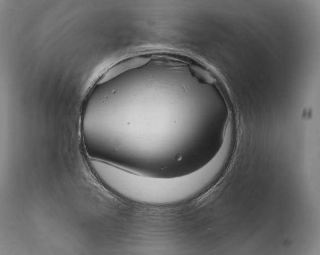 X0000111671365200908071447