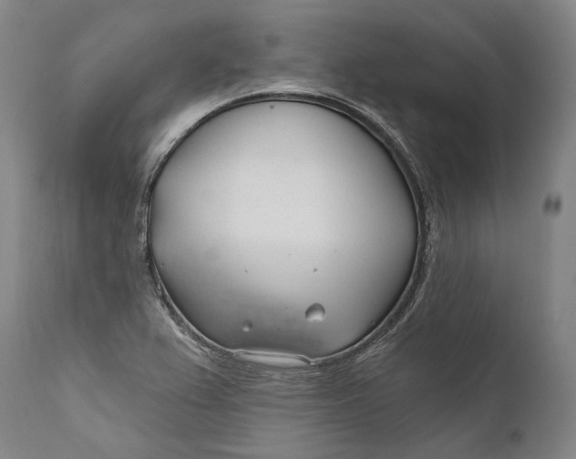 X0000111671367200908071447