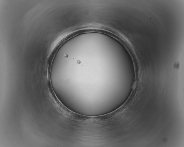 X0000111671368200908071447