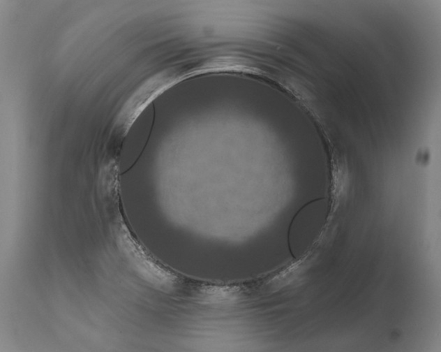 X0000111671369200908071447