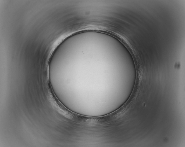 X0000111671371200908071447