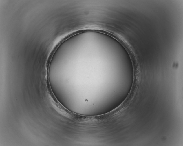 X0000111671372200908071447