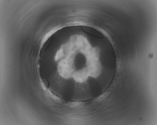 X0000111671373200908071447