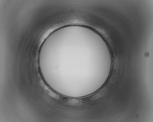 X0000111671374200908071447