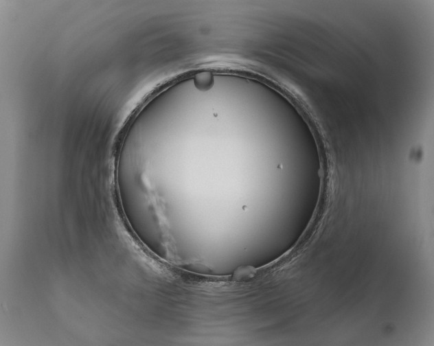 X0000111671376200908071447