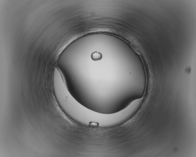 X0000111671377200908071447