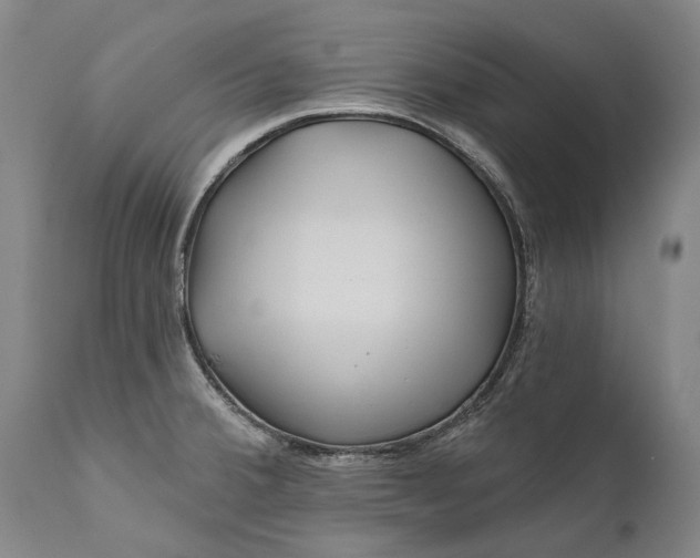 X0000111671380200908071447