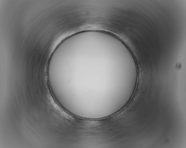 X0000111671382200908071447