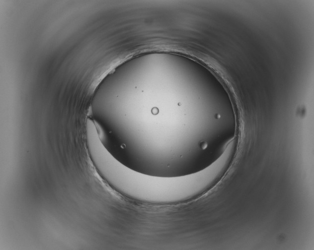 X0000111671385200908071447