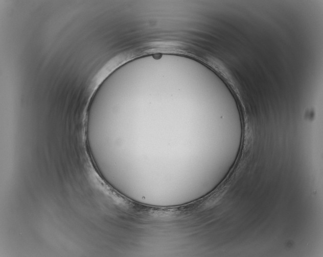 X0000111671386200908071447