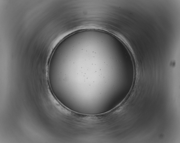 X0000111671388200908071447