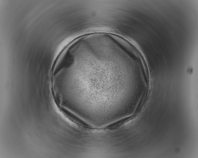 X0000111671389200908071447