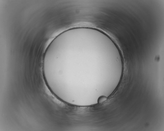 X0000111671390200908071447