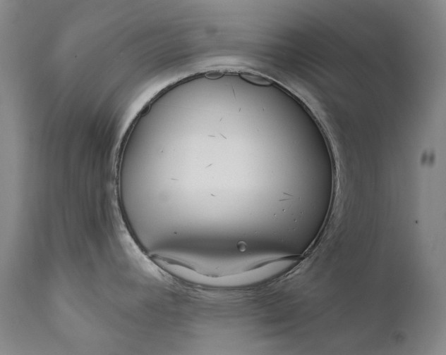 X0000111671392200908071447