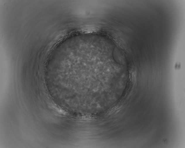 X0000111671393200908071446