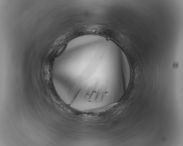 X0000111671394200908071446