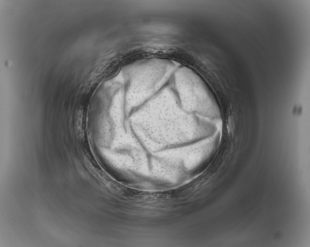 X0000111671396200908071446