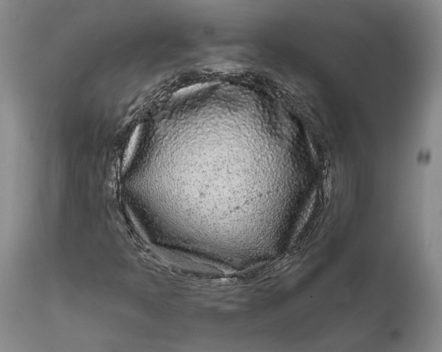 X0000111671397200908071446