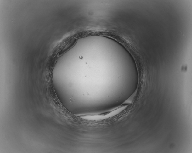 X0000111671398200908071446