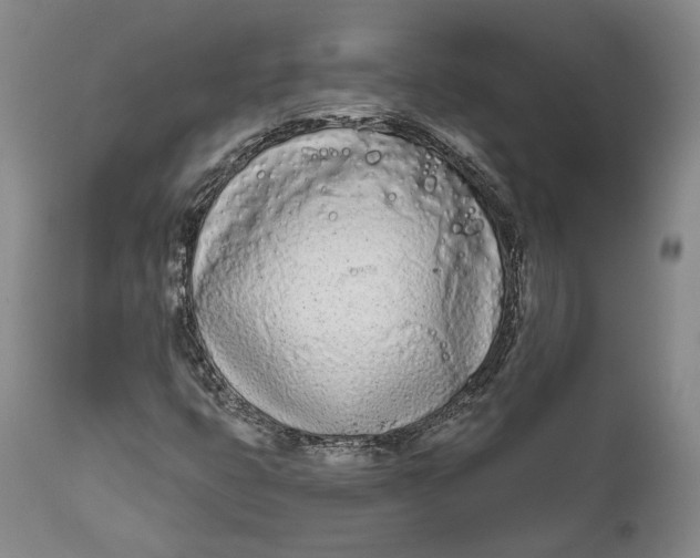 X0000111671399200908071446