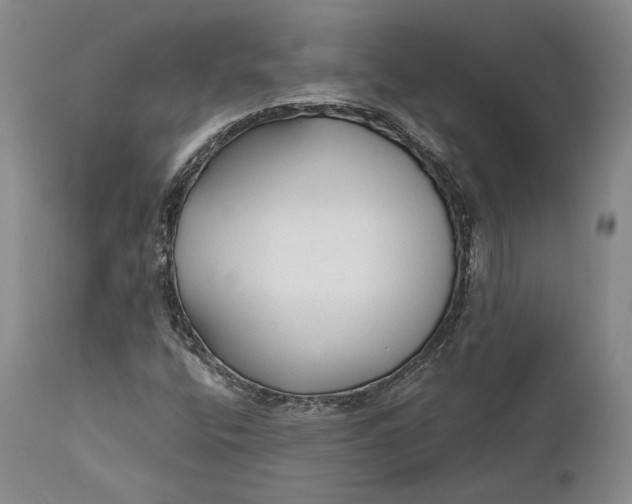 X0000111671400200908071446