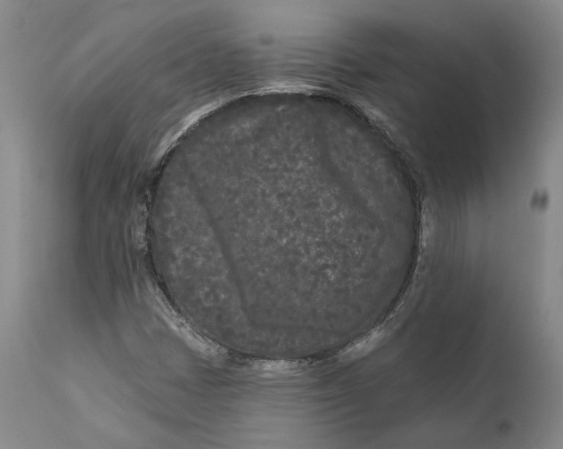 X0000111671401200908071446