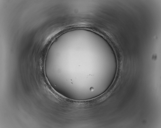 X0000111671402200908071446