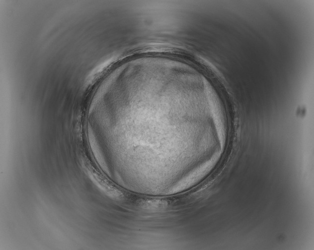 X0000111671403200908071446