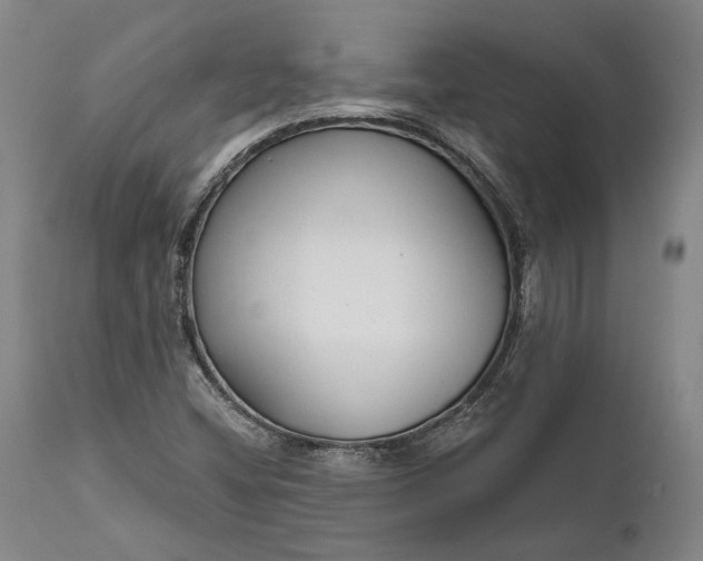 X0000111671404200908071446