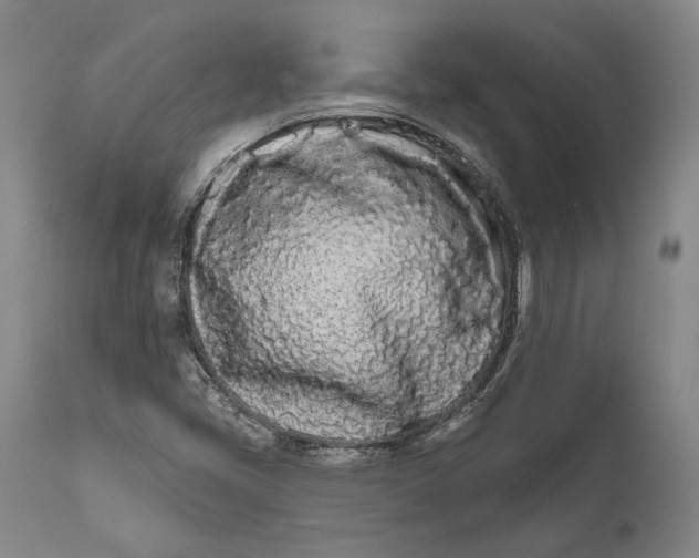 X0000111671405200908071446