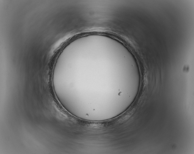 X0000111671406200908071446