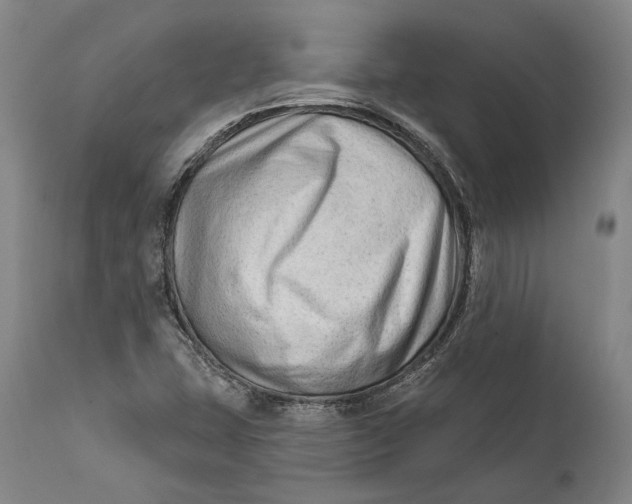 X0000111671407200908071446