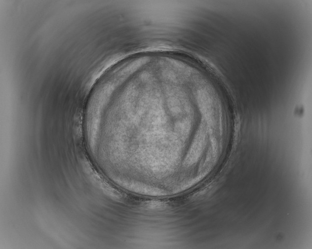 X0000111671409200908071446