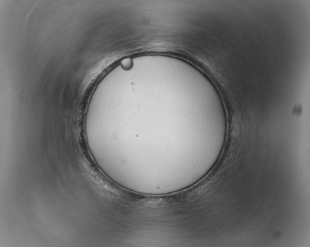 X0000111671410200908071447