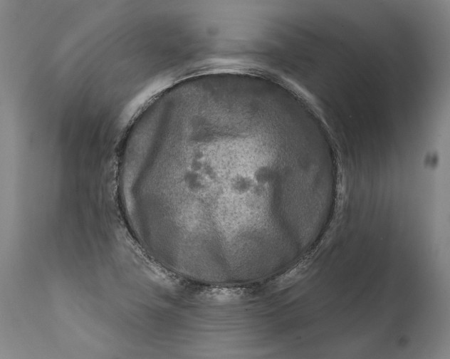 X0000111671411200908071447