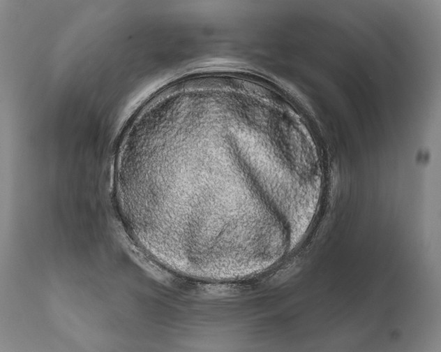 X0000111671413200908071447