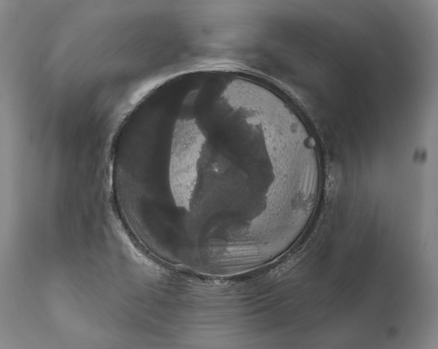 X0000111671414200908071447