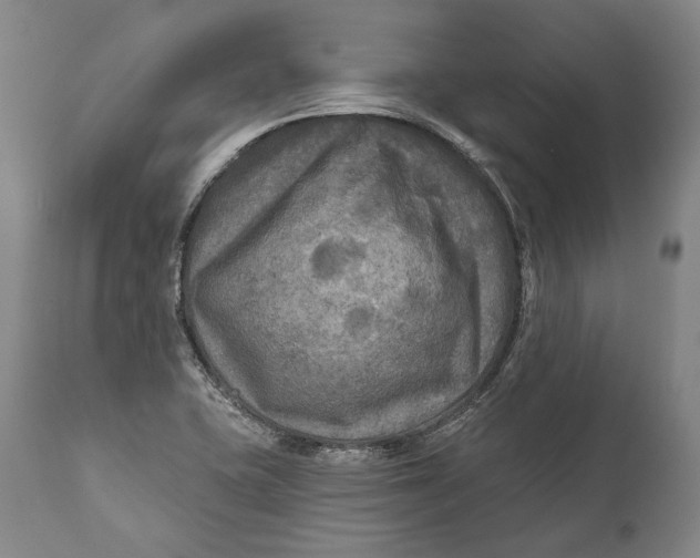 X0000111671415200908071447