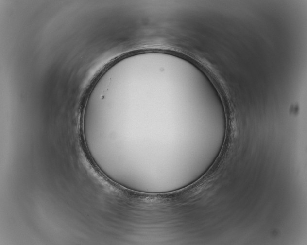 X0000111671416200908071447