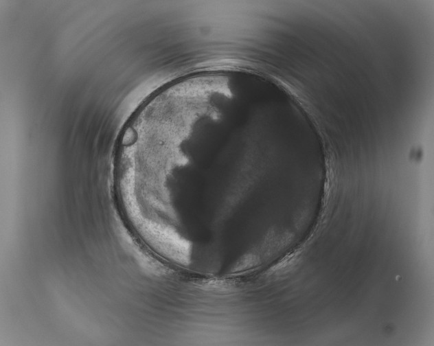 X0000111671418200908071447