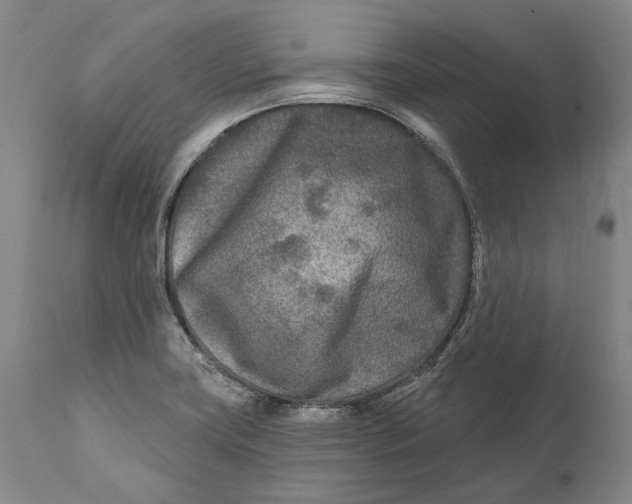 X0000111671419200908071447