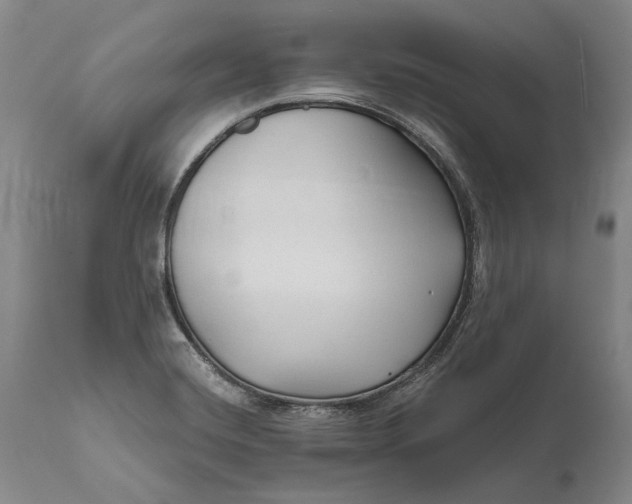 X0000111671420200908071447