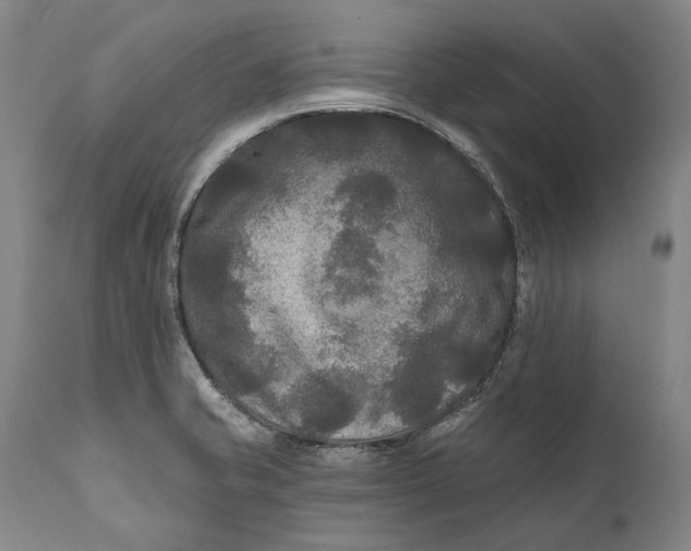 X0000111671421200908071447