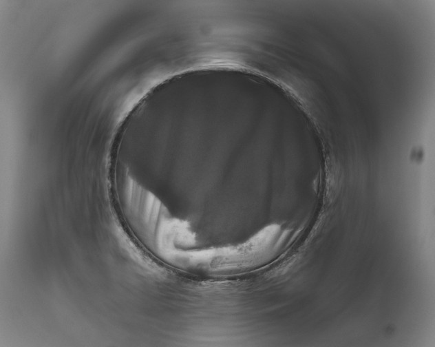 X0000111671422200908071447