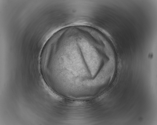 X0000111671423200908071447